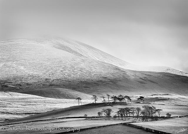 WintersunSkiddaw.jpg