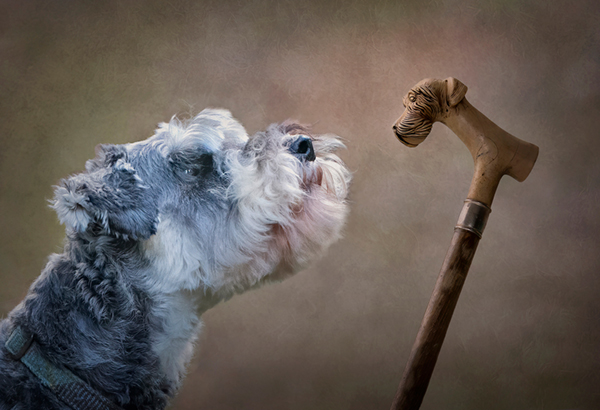 Walkies.jpg